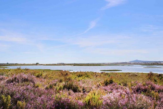 Path to Cabanas Beach