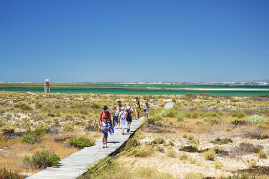 Santa Maria Walk Path to the Beach