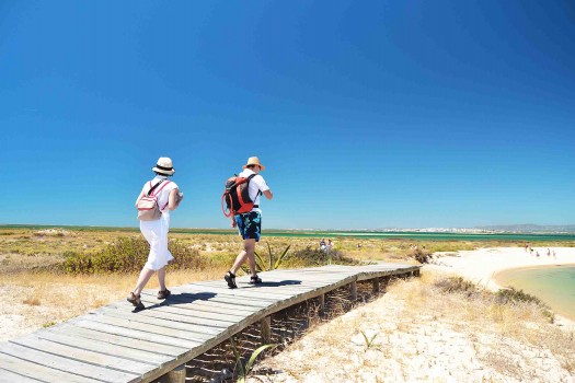 Walking Path to the beach